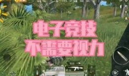 和平精英最新爆料击杀王,击杀王荣耀归来，谁将问鼎巅峰？