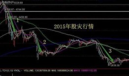 海外最新爆料 股灾